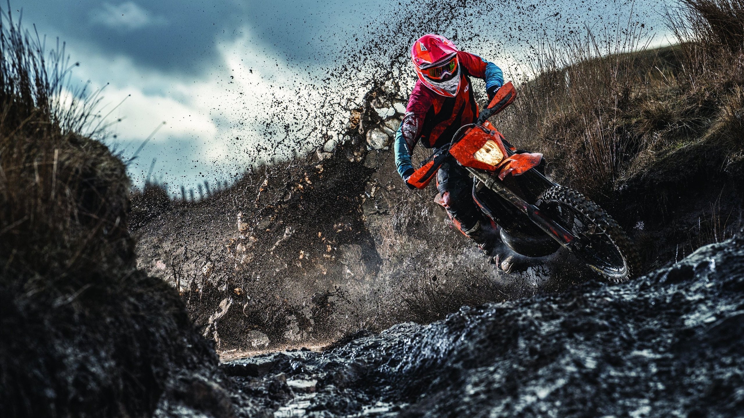 开云体育中国-绿茵双面镜，加克波的孤星闪耀与拜仁的体系铁拳